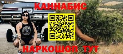 стафф Лесосибирск