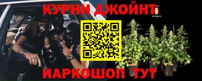 стафф Лесосибирск