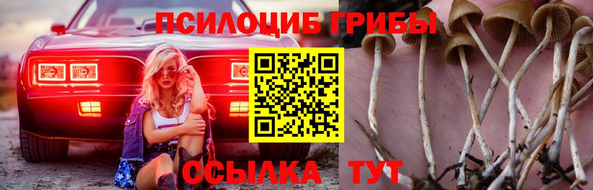 Батайск  Псилоцибиновые грибы GOLDEN TEACHER  Вход с VPN  Галлюциногенные грибы Cubensis 